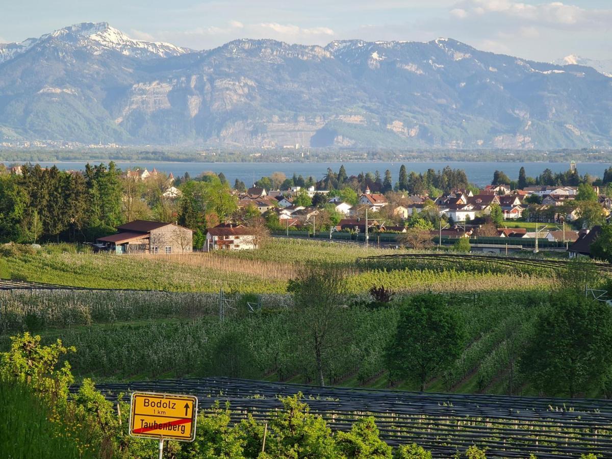 Alpenblick 1 Daire Bodolz Dış mekan fotoğraf